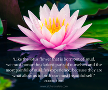 Load image into Gallery viewer, Mahalo to the beautiful Debbie Ford for reminding us to embrace the challenges and honor them!